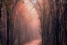 半场战报：贵州筑城竞技-昆明城星，双方破门乏术.