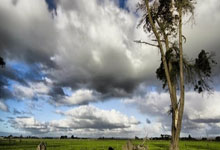 [NBA]季后赛4月28日：VS 詹姆斯集锦.