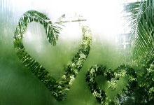 [网球]王欣瑜晋级印第安韦尔斯网球赛女单32强.